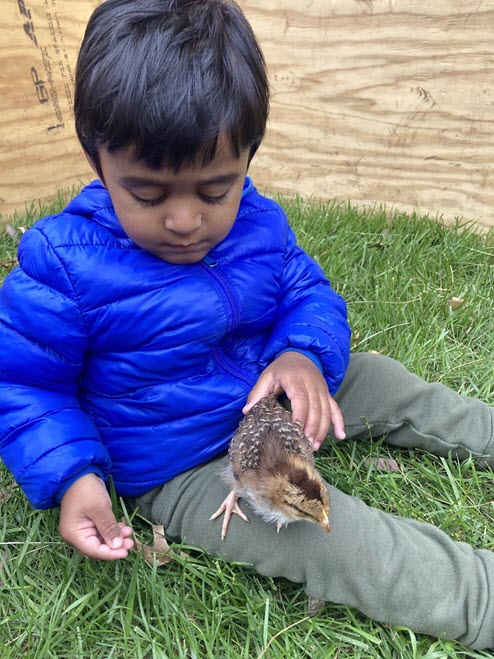 toddler with bird